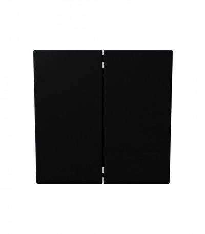 Выключатель двухклавишный 10A 250V с накладкой (soft touch) Jasmart FD3023PBM