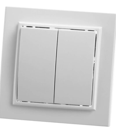 Выключатель двухклавишный Feron Stekker Эрна PSW10900401 39044