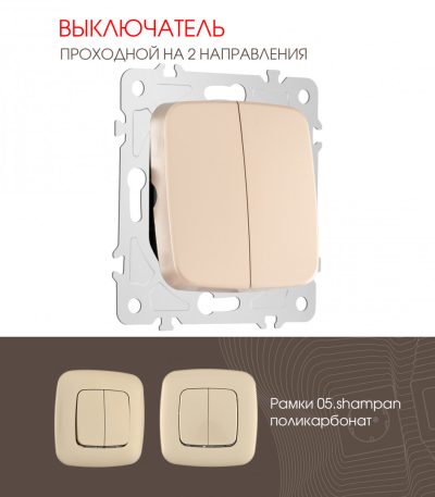 Выключатель двухклавишный проходной Arte Milano 205.32-2.shampan