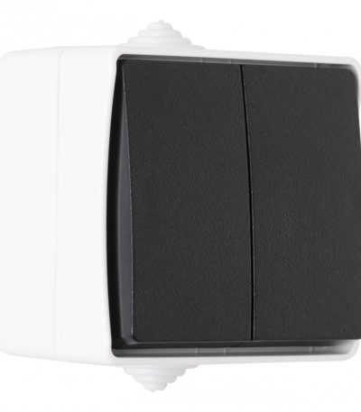 Выключатель двухклавишный проходной Arte Milano 309.32-2.grey