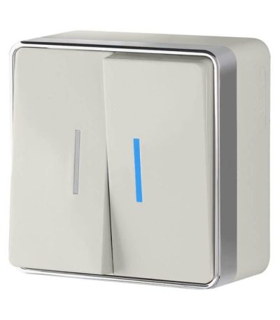 Выключатель двухклавишный с подсветкой Werkel Gallant слоновая кость W5020103 4690389164187