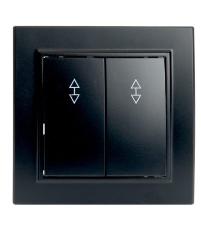 Выключатель двухклавишный Stekker Эрна 39921