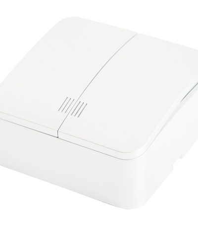 Выключатель двухклавишный Stekker София MSW10-21-01 49290