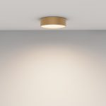 Потолочный светильник Maytoni Technical Ceiling Zon C032CL-24W4K-RD-MG