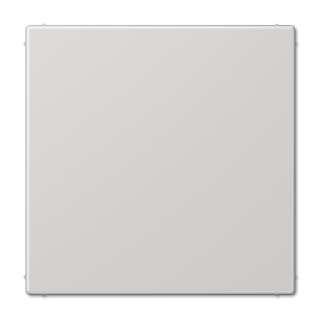 Заглушка Jung LS990 LS994BLG