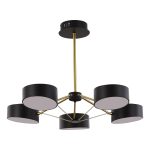 Потолочный светильник Evoluce Valle SLE6005-402-05